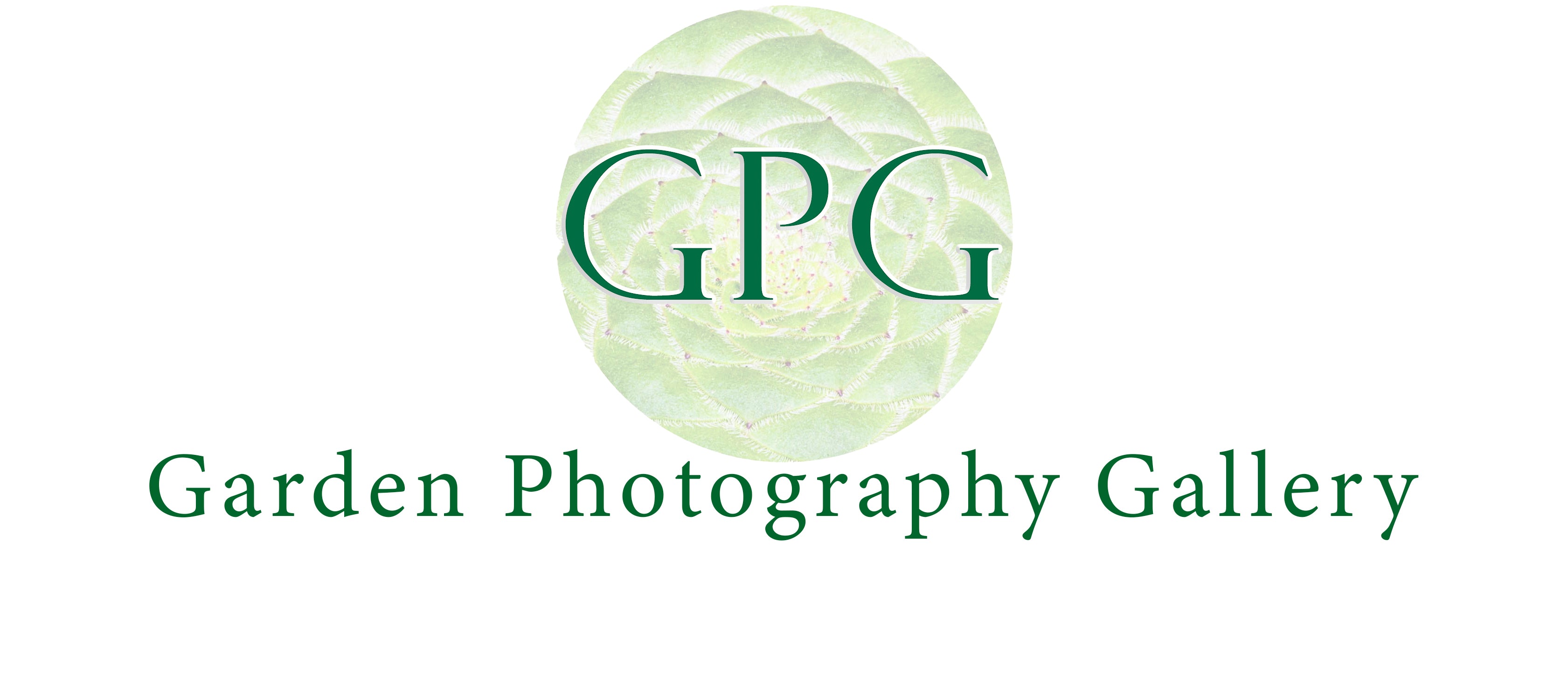 Garden Photography Gallery flower photography prints wall art and greetings cards